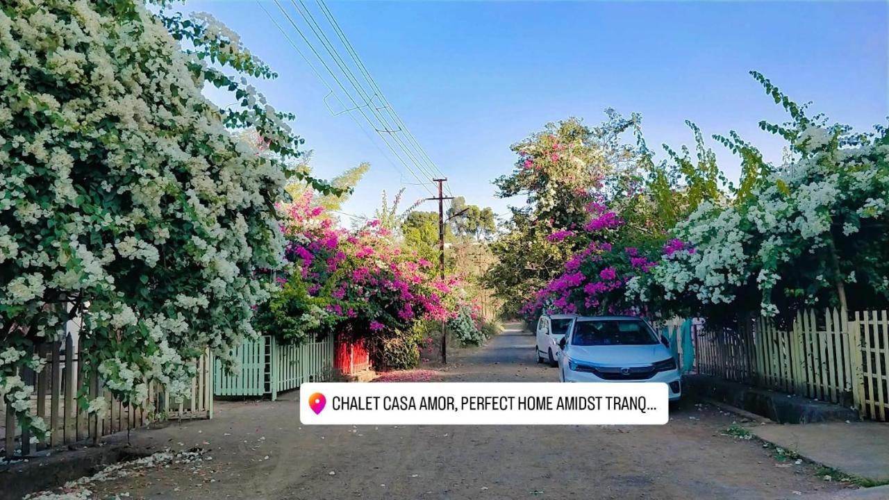 Chalet Casa Amor, Perfect Home Amidst Tranquility كارجات المظهر الخارجي الصورة